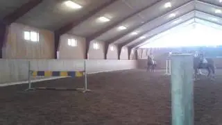 2013 Viegaard Stutteri: Ofra Schooling
