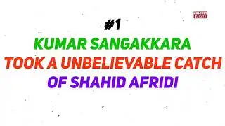 Top 10 best wicketkeepers in cricket history❤️ #top #best #wicketkeeper #cricket
