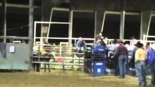 Joker at Buck N Duck