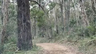 Reasons to visit Broadford, Victoria,  Australia