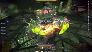 Tera - DFNM Guild Run - 4 Brawlers