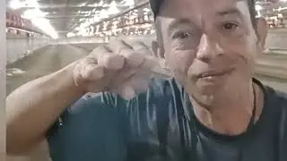 Air dynamics vid. 01 Observation points