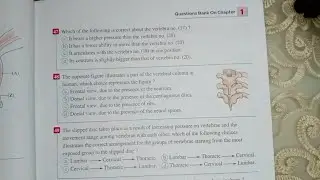 حل Question bank on Support and Movement in living Organism للصف الثالث الثانوي لغات 2024