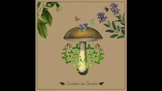 Cuentos de Jard&iacute;n ( ep completo ) - Los furtivos Gnomos