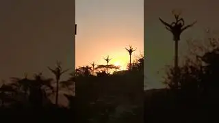 #Sunset@shorts,like,subscribe