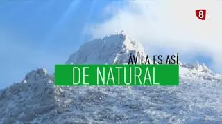 ÁVILA ES ASÍ DE NATURAL  LA MIRA DE CEBREROS 4-5-2022