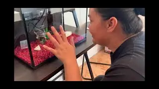MARINA Fish Aquarium (5 Gallon) Setup and Tutorial for my Fiancé