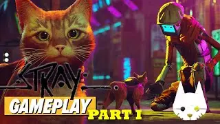 Stray Cat game on high end PC, How does it feel like [EPISODE 1]