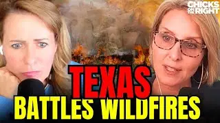 Texas Panhandle Wildfires: Conspiracies, Updates, & Long Term Effects | Bulwark Capital