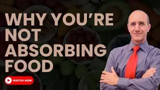 Digestion Comes Before Nutrition Here's Why You Are Not Absorbing Food