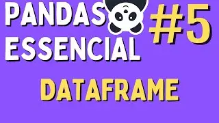 Data Manipulation in Python/Pandas - #05 DataFrame