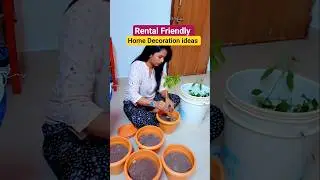 Home Decor Ideas 💡 | Budget friendly | Rental Friendly Home Organization 🏡 #homedecor