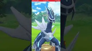 GBL throwback to Season 4 day 11 : one team to legend
