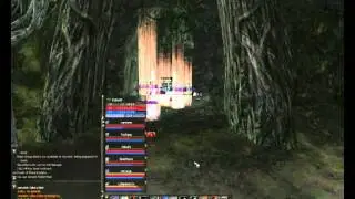 L2Cleaver MafiaGr Pvp PI.wmv
