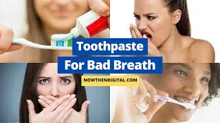 Best Toothpaste For Bad Breath (2024)