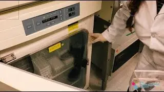 A Look inside the Lab: Incubators - Vaccine Makers Project