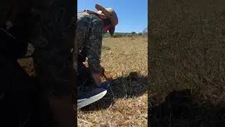 Como localizar r&aacute;pido e f&aacute;cil. #metaldetecting #detector #xpdeusii