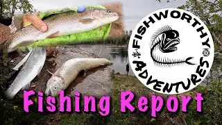 Woods Canyon Lake Fishing Report - Forest Lakes Arizona -