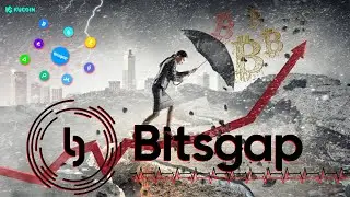 Bitsgap, The Calm After The Storm, Big Pain Before Big Profit And Bot Review