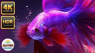 🐠🪸Underwater tropical fish, coral reefs in 4K | Relaxing Music #fish #underwaterworld #aquarium  🐡🎏