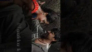 Manasu Muzhuka Assa Songs WhatsApp status