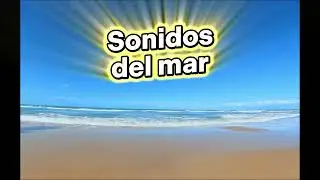 Sonidos del Mar 🌊 Relajaci&oacute;n en Praia do Amor, Pipa Brasil