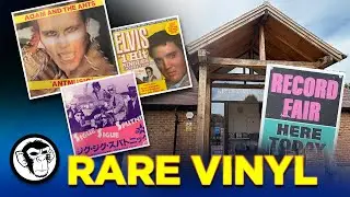 POSZUKUJĘ RZADKICH PŁYT WINYLOWYCH Adam Ant - PUNK - Ozzy - Sputnik - RIpley Record Fair 🤓