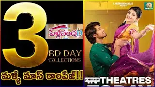 Pelli SandaD 3rd Day Collections | 3rd Day Pelli SandaD Collection | Pelli SandaD Collection |