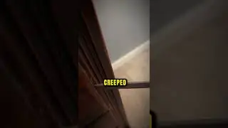 He Found a Secret Room Hidden Behind a Wall