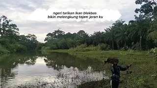 Straik ikan blekbas super babon sungai retak Ilir Ipuh muko2 Bengkulu 
