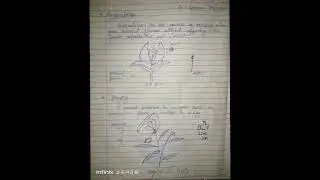 Emasculation And Bagging #shorts #physic #jee #medicalentranceexam #ncert #biology
