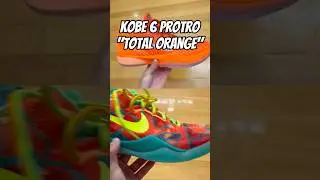 Kobe 6 Protro 