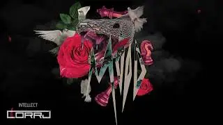 Corrj - Intellect
