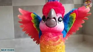 Fur Real Rock A Too Parrot, Michael Robles VO