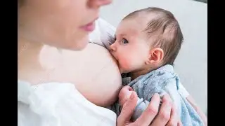 Как часто следует кормить новорожденного грудью? | График кормления для молодых мам
