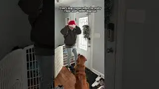 Просто бери что угодно... это не имеет значения 😂