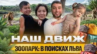 Мы восторге 😍 Самый необычный зоопарк в ОАЭ | Al Ain Zoo