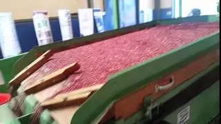 Clasificadora Densimetrica