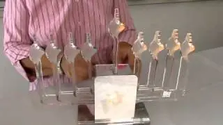 Электрическая менора