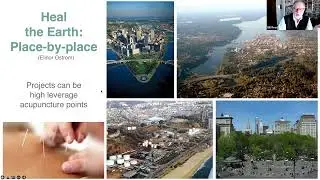 ARTiculating Regeneration: Art as Agent for Change. Bill Reed.