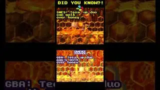 Donkey Kong Country 2 Game Mechanic differences #retrogaming #comparison #retro #shorts  #gba #snes