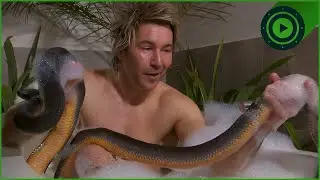 Taking A Bath With My PYTHON: Private Tour Of My Home Zoo