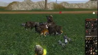 Metin2 - Askadi - lvl80 - Fernninja - Phelon