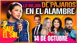 Ángela Aguilar, Eugenio Derbez, Belinda | Lo Mejor de Pájaros en el Alambre 14/10/2024