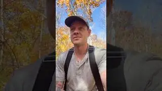 Как я освоил все эти навыки? #лес #лесное хозяйство #работа #леса #природа #урокижизни #короткие ...
