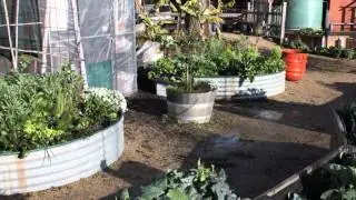 Classes at the Stephanie Alexander Kitchen Garden Foundation