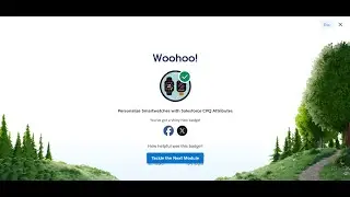 Create Twin Fields on the Order Product org At Personalize Smartwatches with Salesforce CPQ Attribut