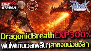 [RO]EP.976:🔥Dragonic Breath พ่นไฟงบกลาง!! EXP+300% เวลได้ชิลๆ🔥