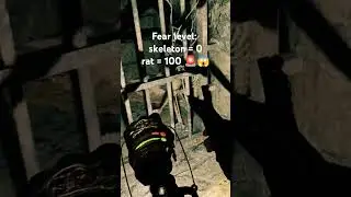 In Pirates VR Jolly Roger, creepy old prisons come with unexpected 'friends'. #piratesvrjollyroger