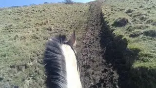A fast gallop up Heart Attack Mountain. Much better with the flappy plastic bag going back. 👍🏇🏿